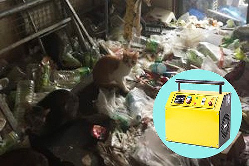 生活ごみが床一面に広がった室内で、複数の猫がごみの上に座っている状態。ペット臭とごみが混じり合った深刻な環境が写っている。」